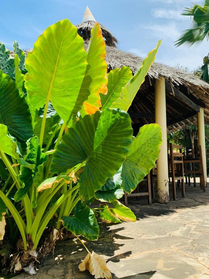 Ltorec Nyali Beach Exterior foto